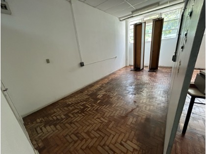 Primeira Limpeza